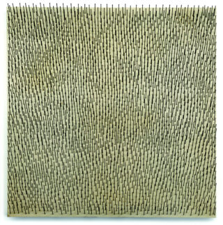 Numerous nails driven closely together into a wooden panel, with some still protruding.