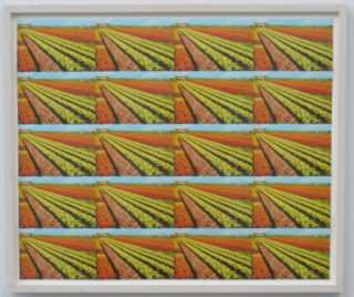 A postcard, reproduced multiple times, of colorful fields of flowers arranged in parallel rows under a blue sky, set in a white frame.