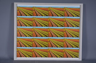 A postcard, reproduced multiple times, of colorful fields of flowers arranged in parallel rows under a blue sky, set in a white frame.